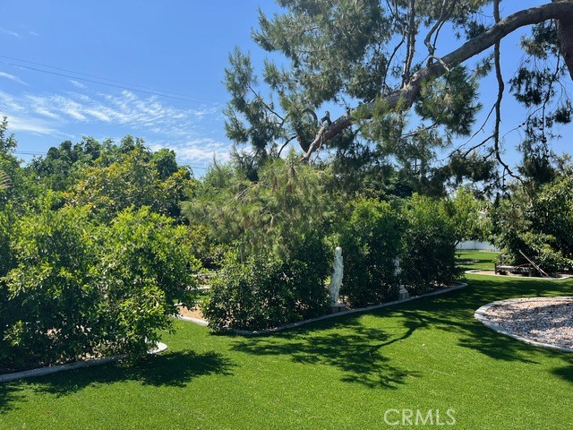 MLS #DW25142645 image #49