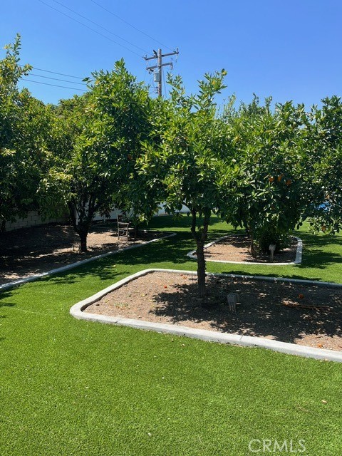 MLS #DW25142645 image #50