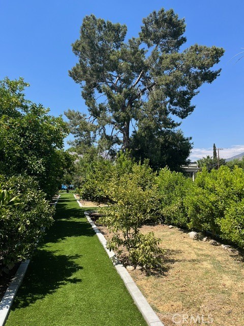 MLS #DW25142645 image #52