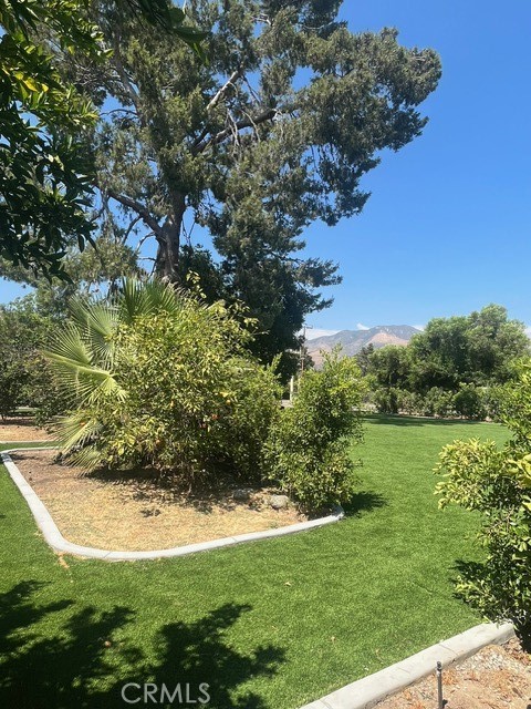 MLS #DW25142645 image #53