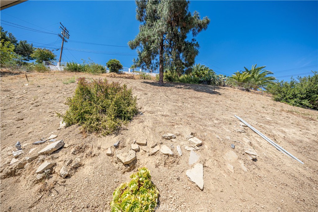 MLS #DW25149886 image #34