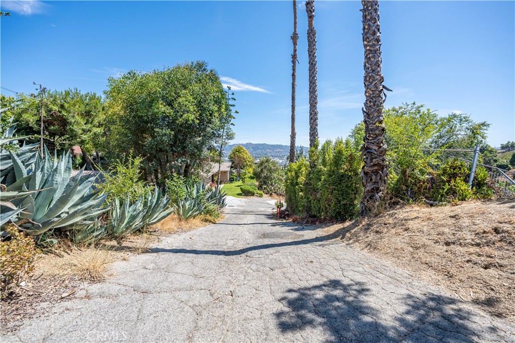 MLS #DW25149886 image #45