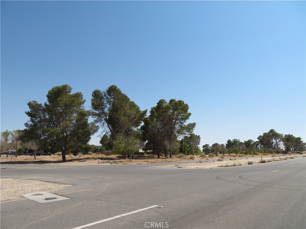 MLS #DW25154503 image #14