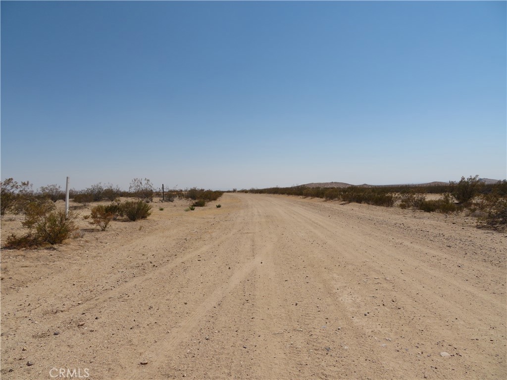 MLS #DW25154503 image #6