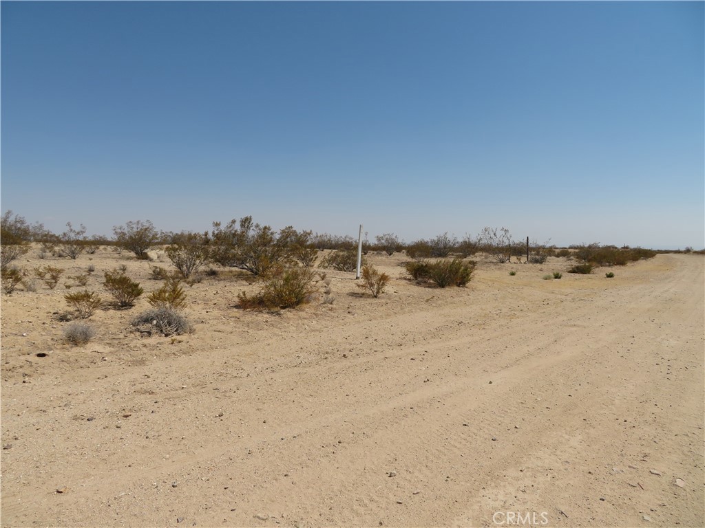 MLS #DW25154503 image #7