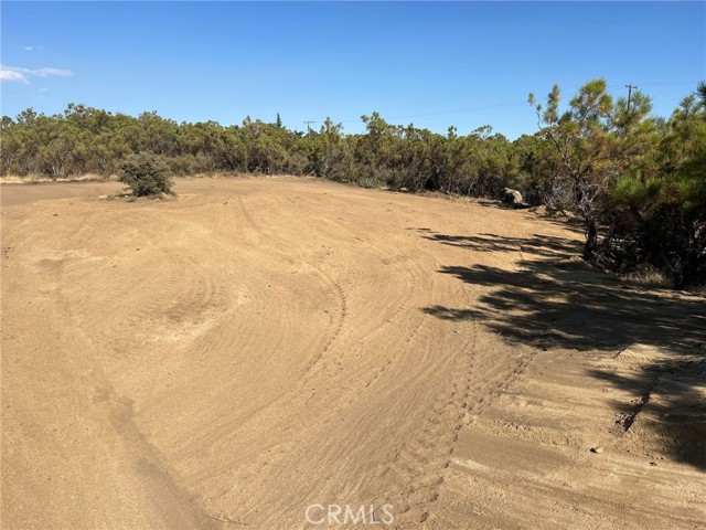 MLS #DW25155603 image #4