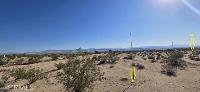 MLS #DW25164109 image #5
