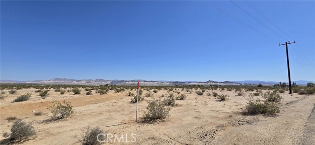 MLS #DW25164142 image #4