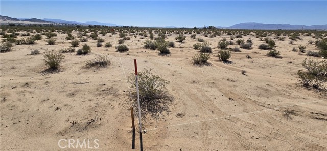 MLS #DW25164142 image #6