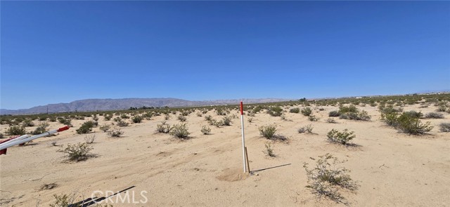 MLS #DW25164142 image #9