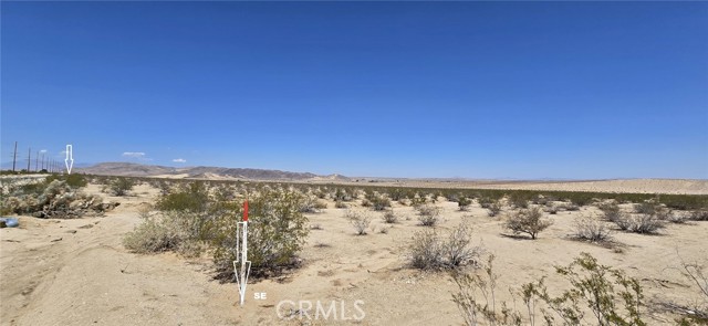 MLS #DW25164154 image #4