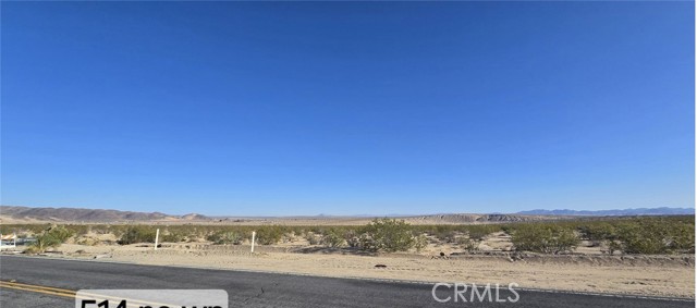 MLS #DW25164154 image #7