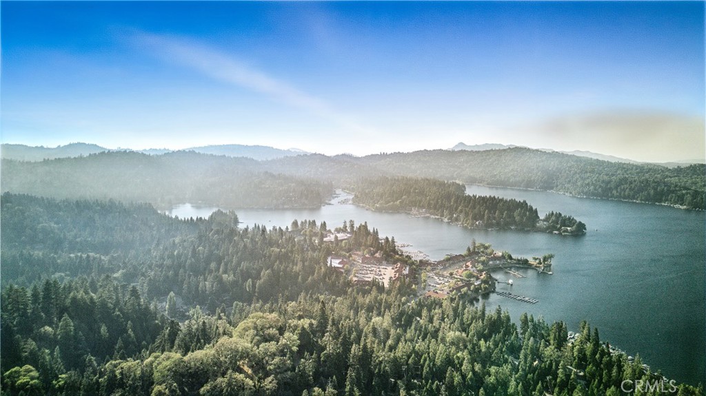 MLS #DW25166814 image #5