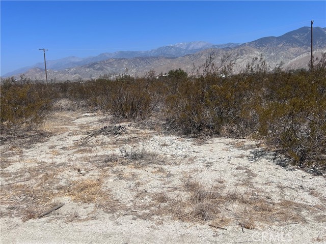 MLS #DW25170317 image #1