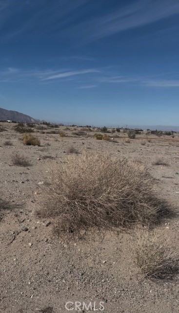 MLS #DW25171714 image #0