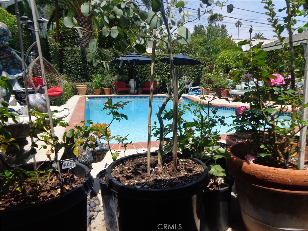 MLS #DW25181973 image #42