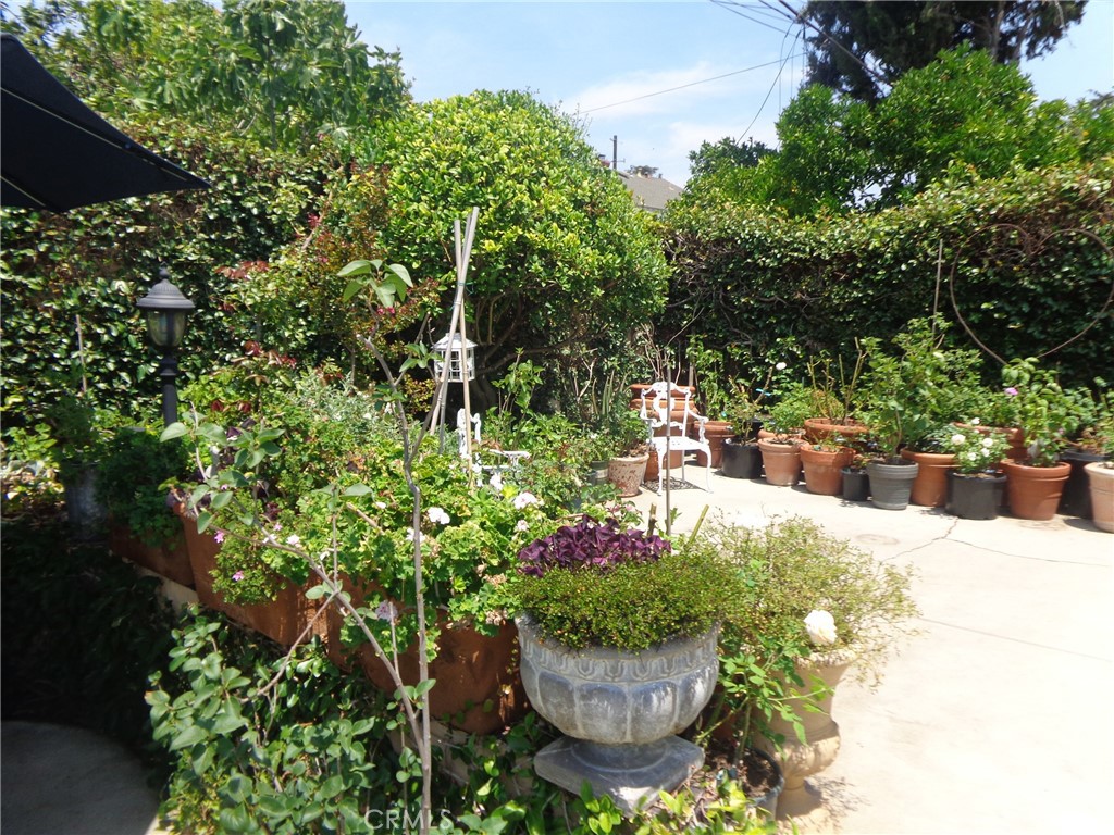 MLS #DW25181973 image #48