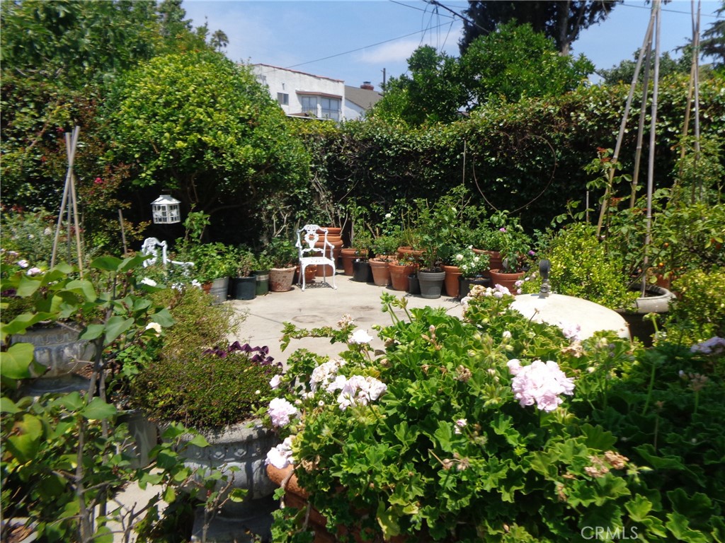 MLS #DW25181973 image #53