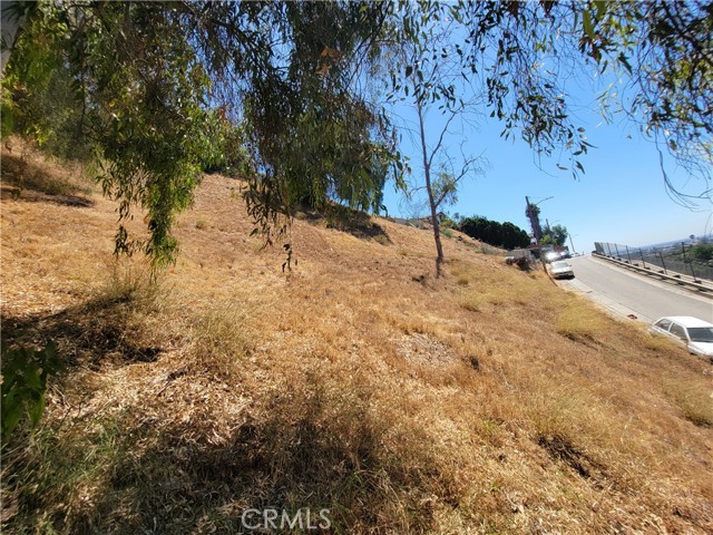 MLS #DW25191991 image #9