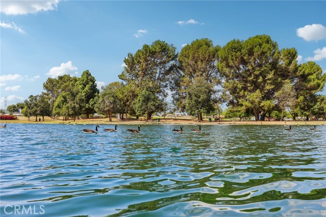 MLS #DW25214585 image #34