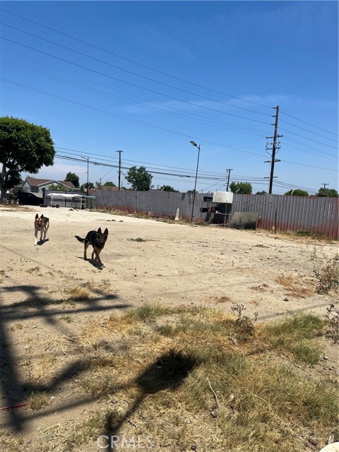 MLS #DW25222049 image #2