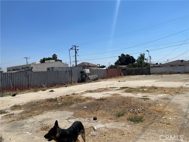 MLS #DW25222049 image #9