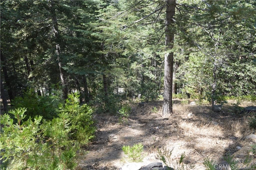 MLS #DW25228370 image #12