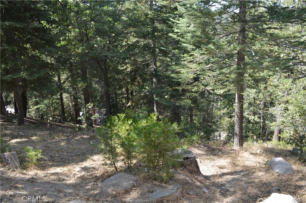 MLS #DW25228370 image #13