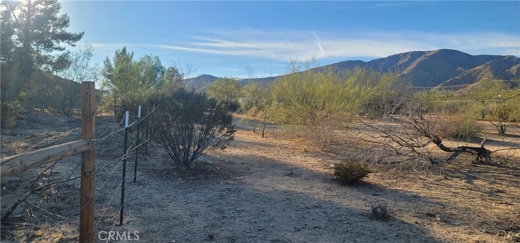 MLS #DW25229316 image #14