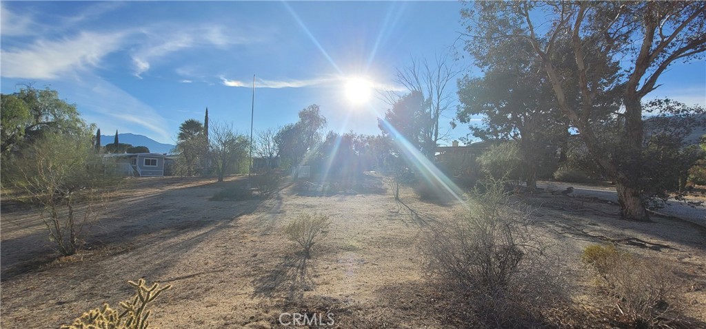 MLS #DW25229316 image #18