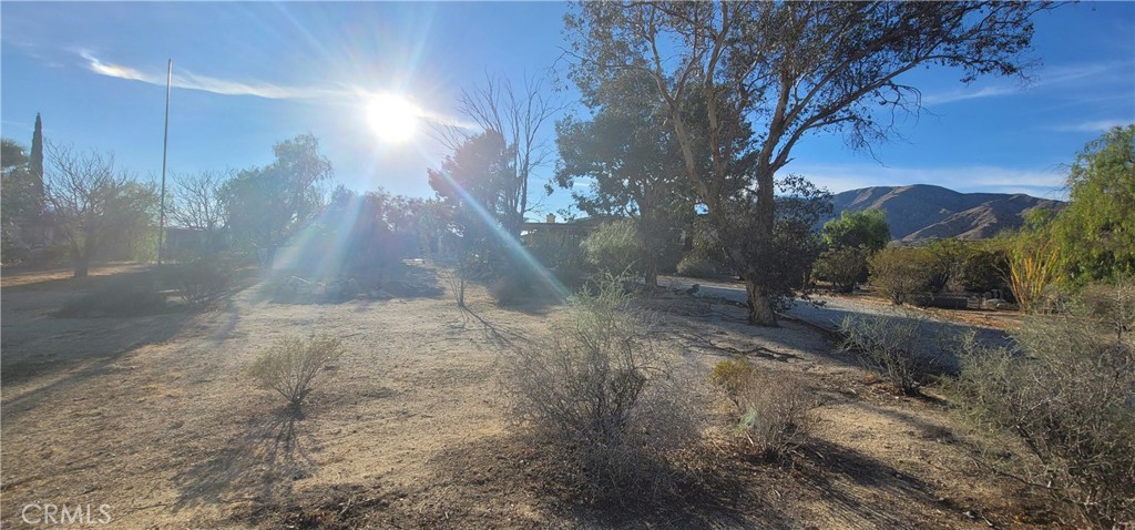 MLS #DW25229316 image #19