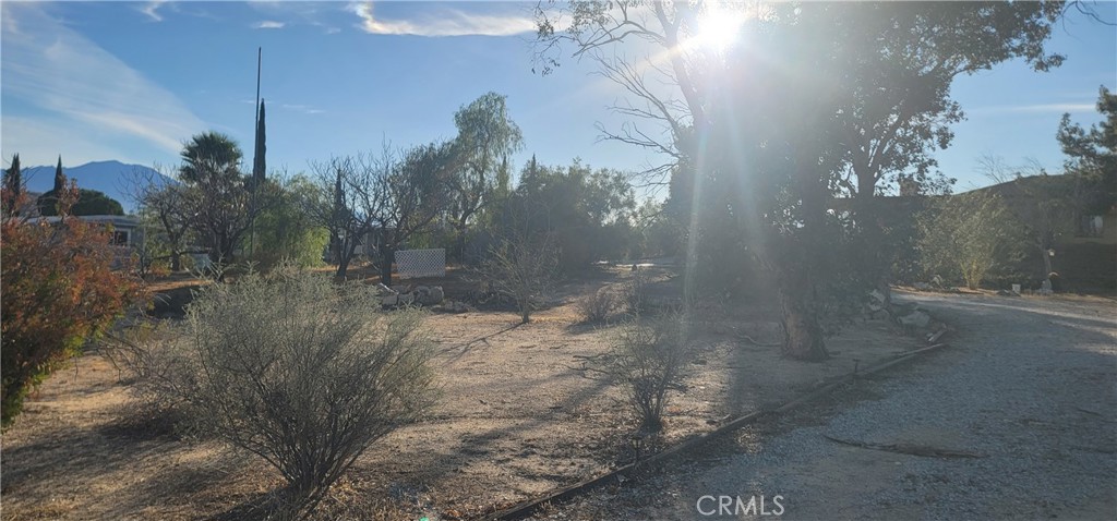 MLS #DW25229316 image #21