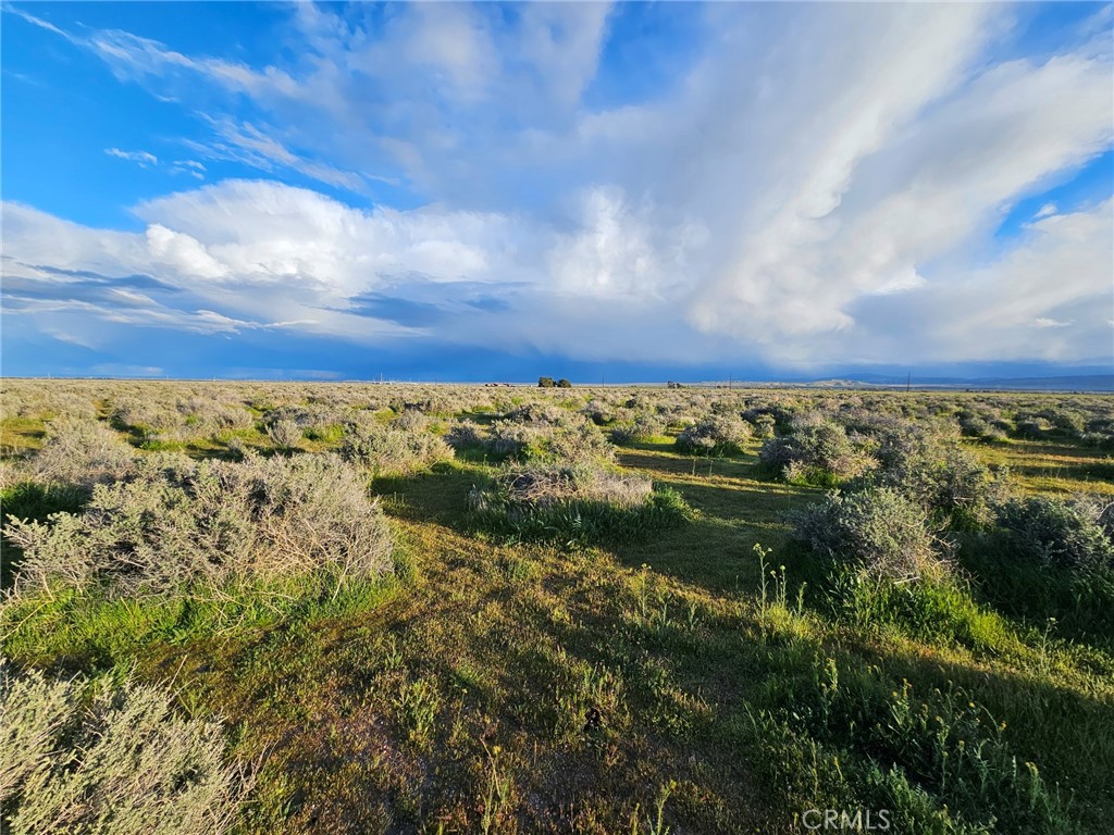 MLS #DW25235858 image #1