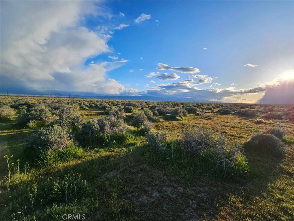 MLS #DW25235858 image #2