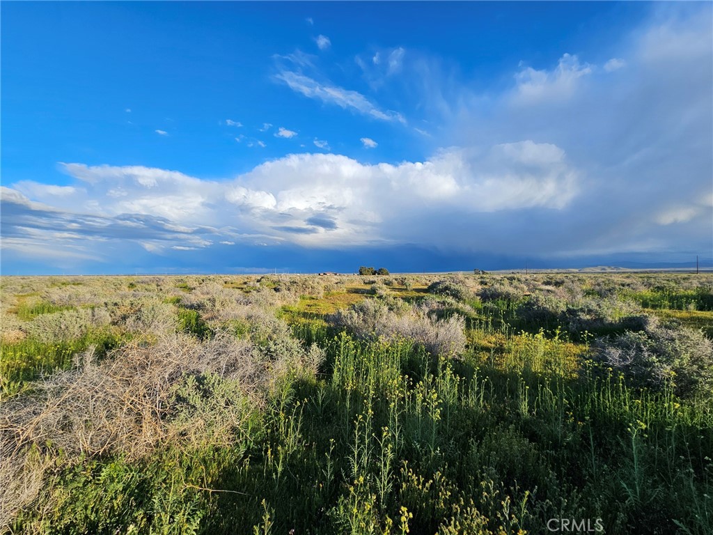 MLS #DW25235858 image #3