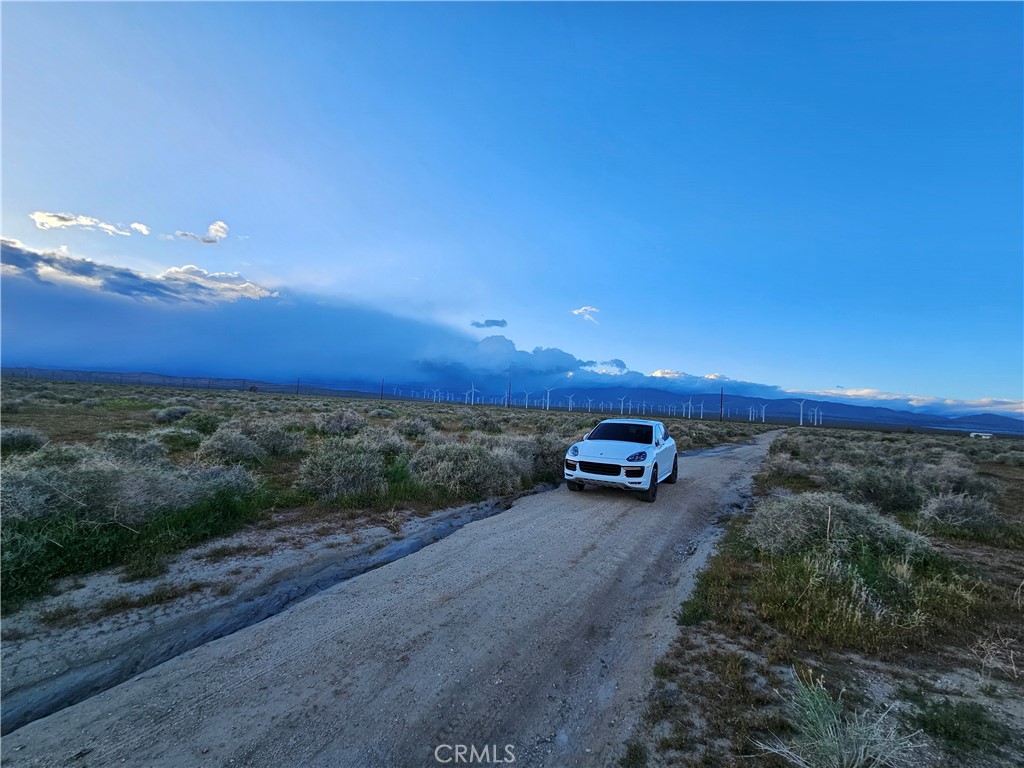 MLS #DW25235858 image #4