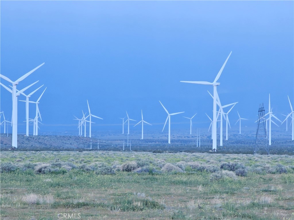 MLS #DW25235858 image #7