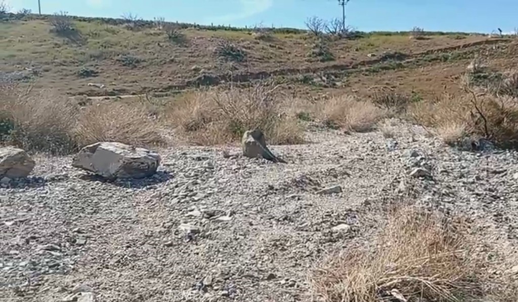 MLS #DW25249556 image #10