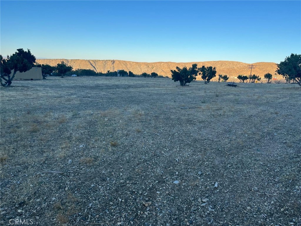 MLS #DW25249556 image #11