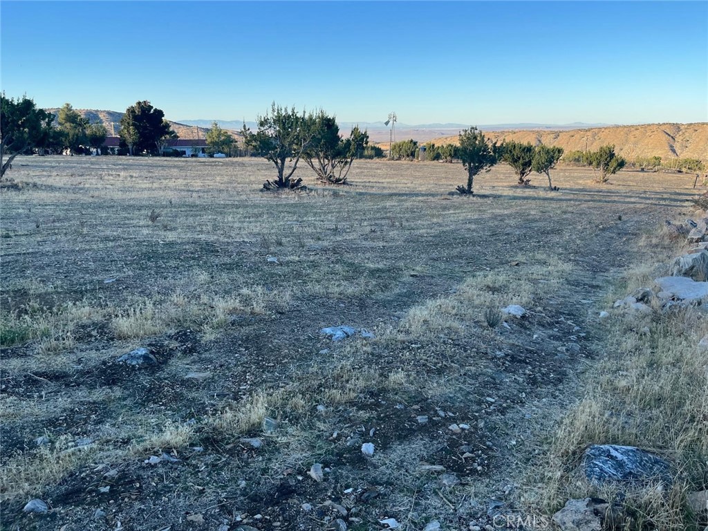 MLS #DW25249556 image #12