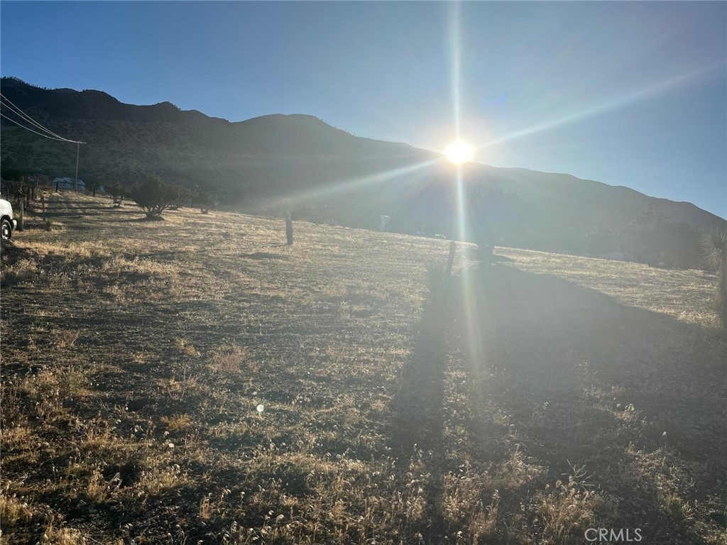 MLS #DW25249556 image #14