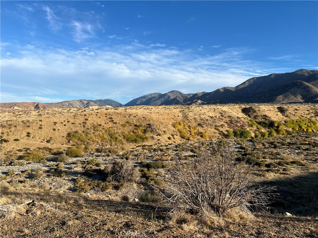 MLS #DW25249556 image #17