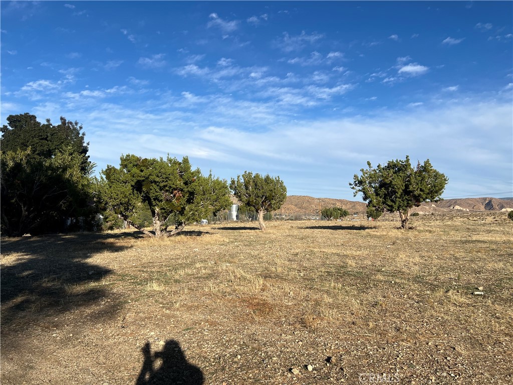 MLS #DW25249556 image #19