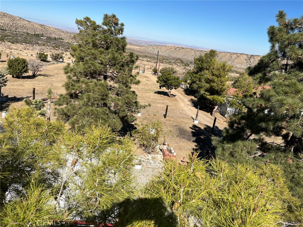 MLS #DW25249556 image #2