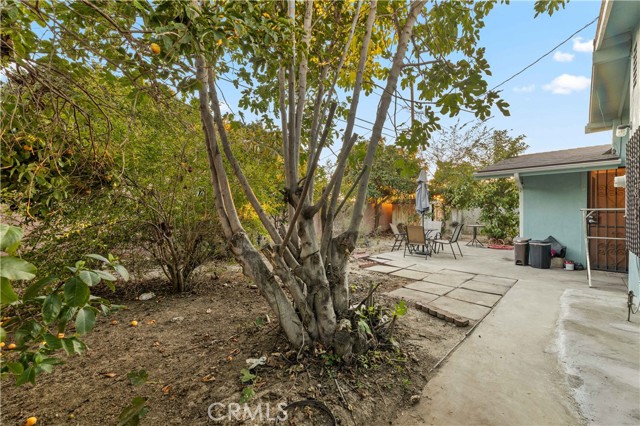 MLS #DW25251080 image #37