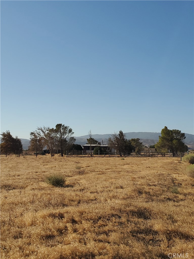 MLS #DW25252830 image #2