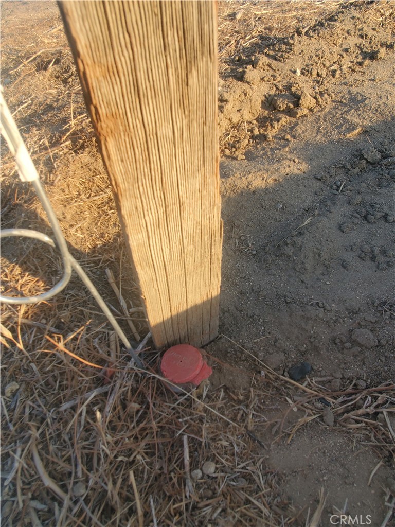 MLS #DW25252980 image #10