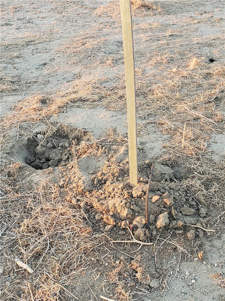 MLS #DW25252980 image #12