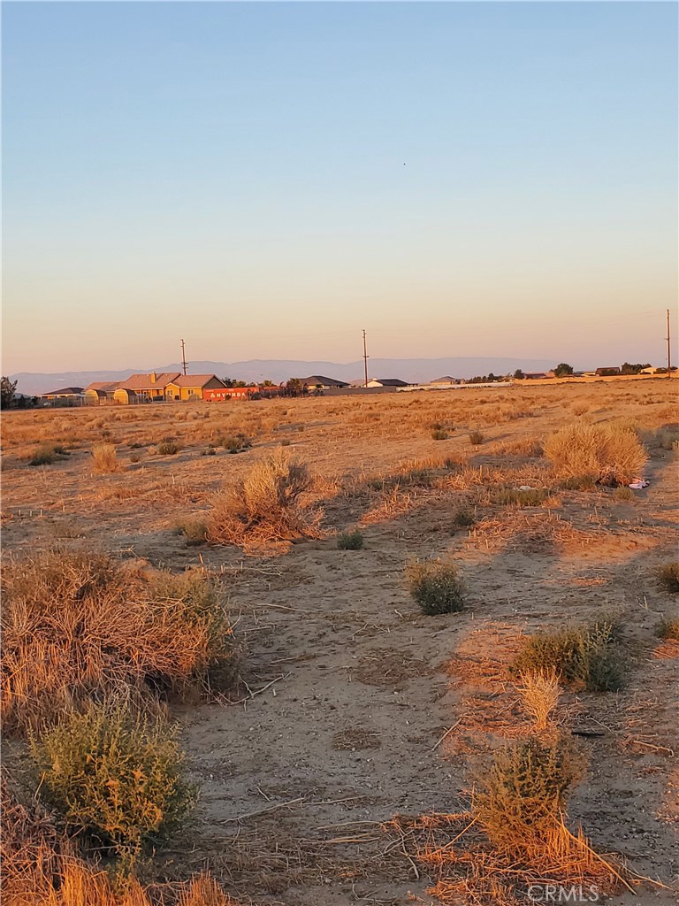 MLS #DW25252980 image #13