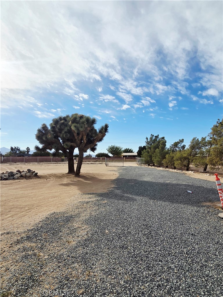 MLS #DW25254053 image #4